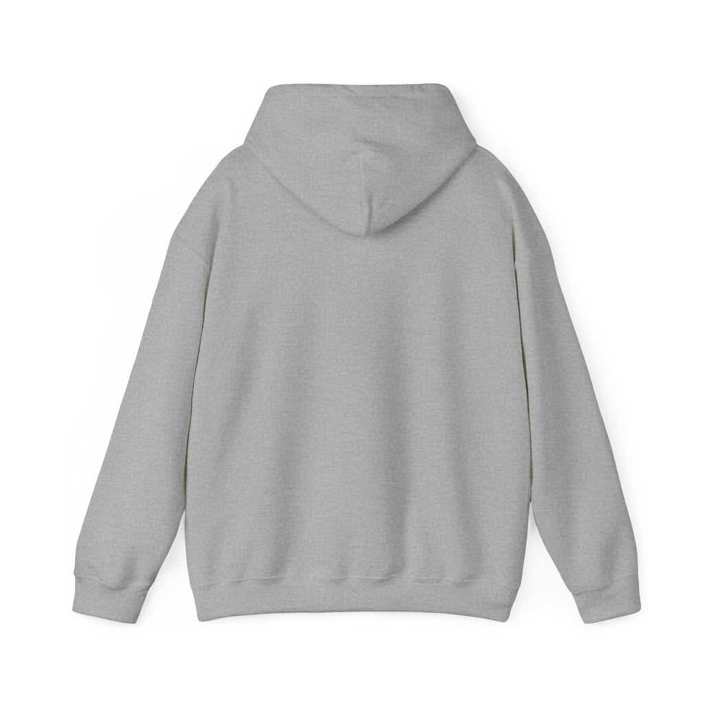 Neurodiversity Pride Infinity Logo Hoodie | autistic pride, affirming